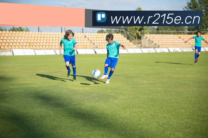 米兰app官网入口链接APP 封面图